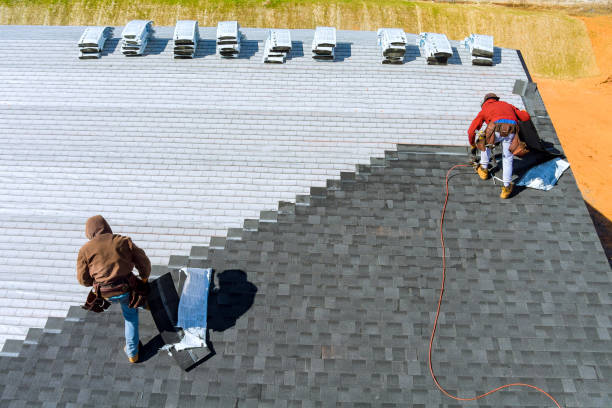 Best Roof Gutter Cleaning  in Holly Hill, FL