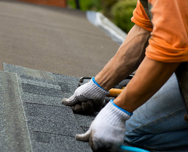 Quick and Trustworthy Emergency Roof Repair Services in Holly Hill, FL