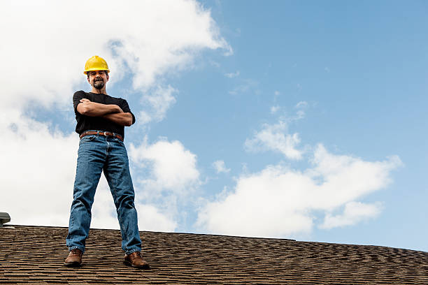 Best Metal Roofing Contractor  in Holly Hill, FL