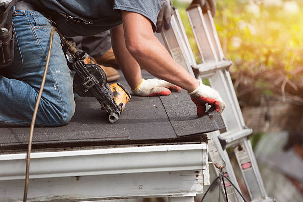 Professional Roofing Contractor in Holly Hill, FL